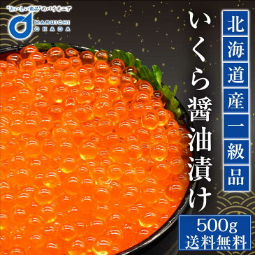 北海道産 いくら 醤油漬け 500g イクラ 鮭子 海鮮丼 ギフト 魚卵 ロス 敬老の日