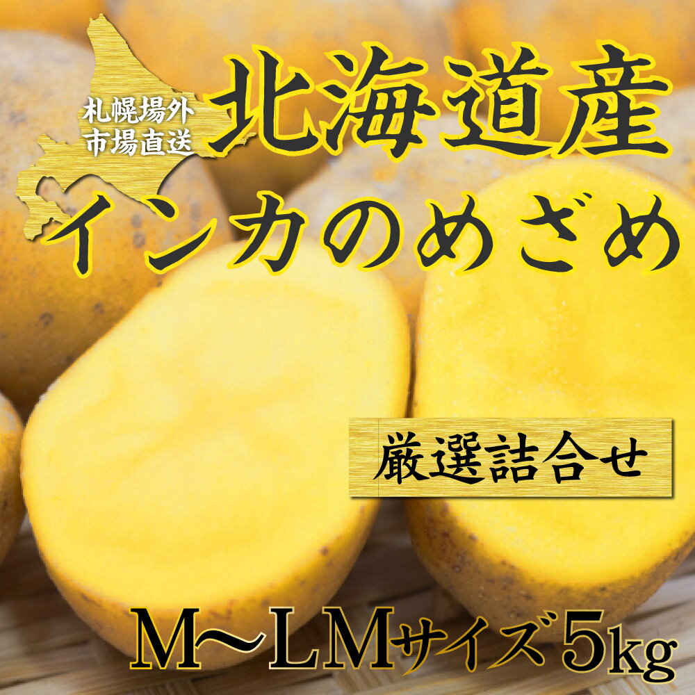 インカのめざめ 5kg 新 じゃがいも 送料無料 ジャガイモ インカ 馬鈴薯 じゃがいも 北海道 札幌中央卸売市場 インカの目覚め 父の日 プレゼント