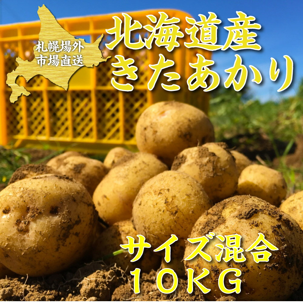 【マラソン期間限定！ポイント5倍！】じゃがいも きたあかり 10kg サイズ混合 送料無料 ジャガイモ 北あかり キタアカリ 馬鈴薯 じゃがいも 北海道 札幌中央卸売市場 父の日 プレゼント