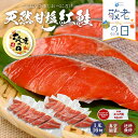 【敬老の日ギフト対応】紅鮭 切り身 甘塩 天然鮭 北海道札幌市場直送 鮭 天然 紅鮭 半身 16切 個分け 真空パック サケ さけ 切り落とし ご飯のお供 おにぎり 訳あり 夏ギフト お中元 御中元