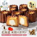【スーパーSALE!30%OFF】 【敬老の日ギフト対応】カヌレ ギフト 米粉 カヌレ トマト 10個セット 無添加 スイーツ お菓子 焼き菓子 お取り寄せ 人気 スイーツ カヌレ お取り寄せ プレゼント 訳あり 敬老の日ギフト 内祝い