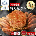 【スーパーSALE!10%OFF!】【敬老の日ギフト対応】北海道産 毛蟹 毛ガニ 特大 毛がに 800g 送料無料 札幌 場外市場 ボイル 海鮮グルメ お取り寄せ ギフト プレゼント 敬老の日ギフト 内祝い