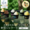 【敬老の日ギフト対応】アイス 詰め合わせ 雪ジェラート 【6種セット】アイス ギフト アイスクリーム 業務用 北海道 スイーツ クリーム プレゼント お取り寄せ 夏ギフト お中元