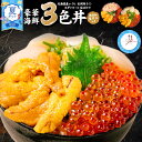 【お中元ギフト 早割クーポンで300円OFF★7/10まで】海鮮丼セット 北海道 豪華海鮮三色丼 海鮮丼セット 3色丼 海鮮 ギフト 刺身 冷凍 ネギトロ 冷凍...