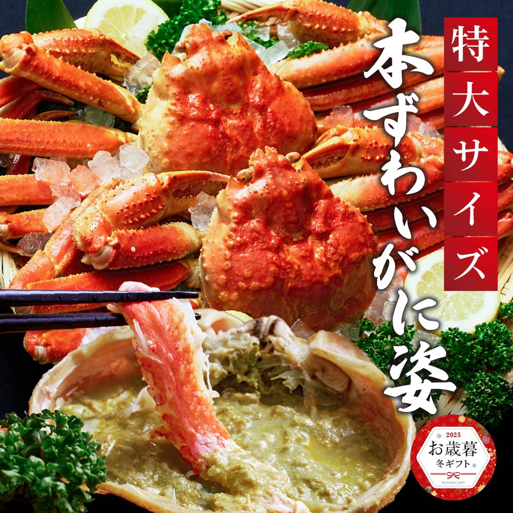 本ズワイガニ 姿 650g 1尾 特大 ズワイ蟹 ずわいがに ずわい蟹 カニ かに 海鮮 ギフト 札 ...