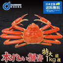 送料無料 本ずわいがに姿 特大1kg前後(1尾)北海道 ズワ...