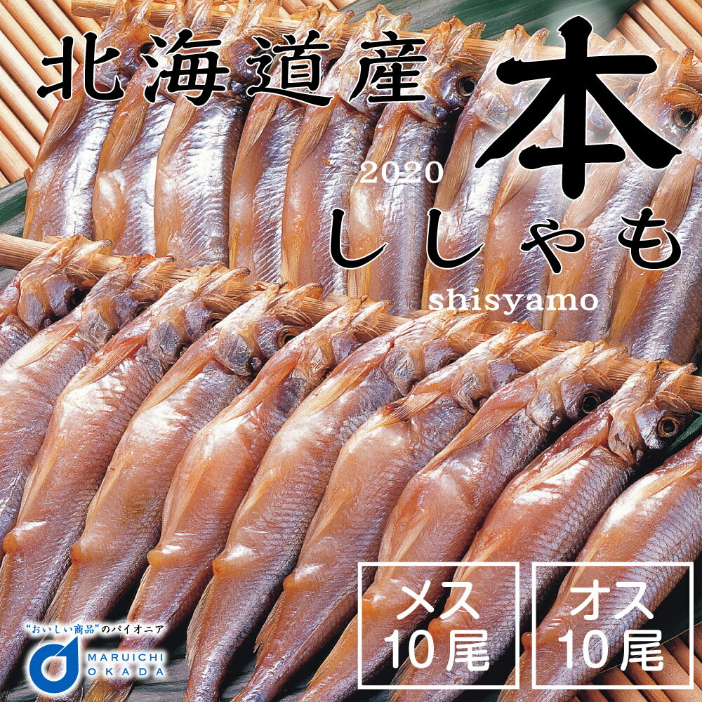 【楽天スーパーSALE！ポイント5倍！】送料無料 北海道産 本ししゃも セット オス メス 計20尾 ししゃも シシャモ 道産 干物 ギフト 子持ちししゃも グルメロス 父の日 プレゼント