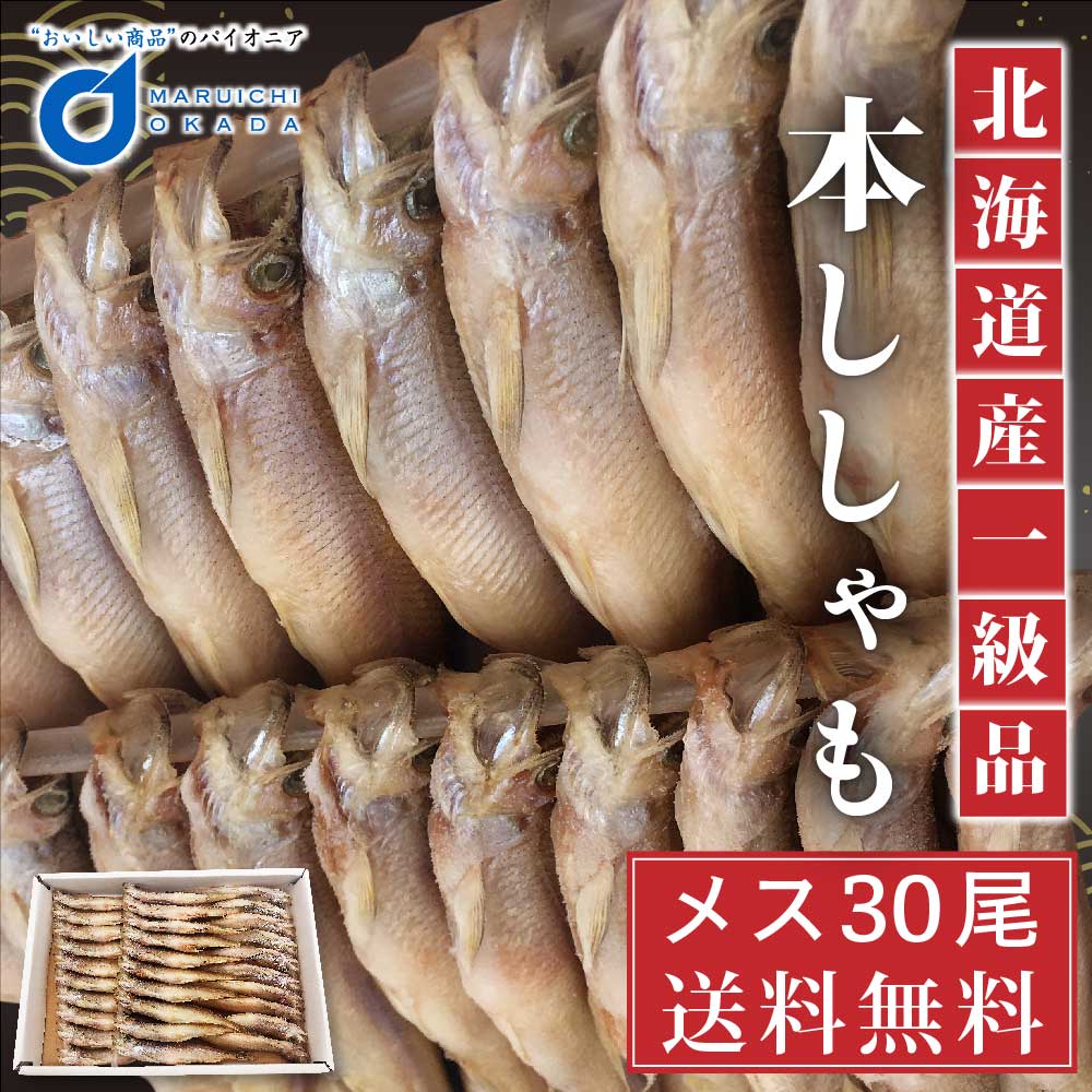 【マラソン期間限定！ポイント5倍！】ししゃも 北海道産 本ししゃも メス30尾 約400g 干物 子持ちししゃも シシャモ ギフト 贈り物 母の日 プレゼント