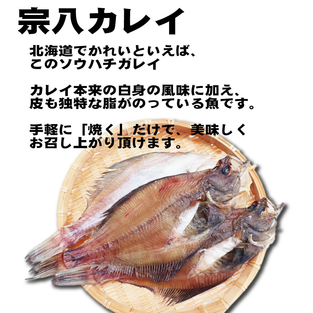 北海道場外市場 カレイ宗八カレイ アイテム勢ぞろい を3枚セットで 遅れてごめんね 父の日 送料無料 北海道産 宗八カレイ 3枚セット カレイ かれい 開き 食品ロス グルメ お中元 おつまみ 一夜干し 干物 御中元