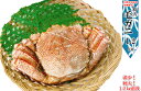 お中元 【送料無料】毛ガニ特大ジャンボ1.2kg 【毛がに】...