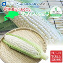 とうもろこし トウモロコシ 北海道 ホワイトショコラ 10本セット 送料無料 L～2L 北海道産 と ...