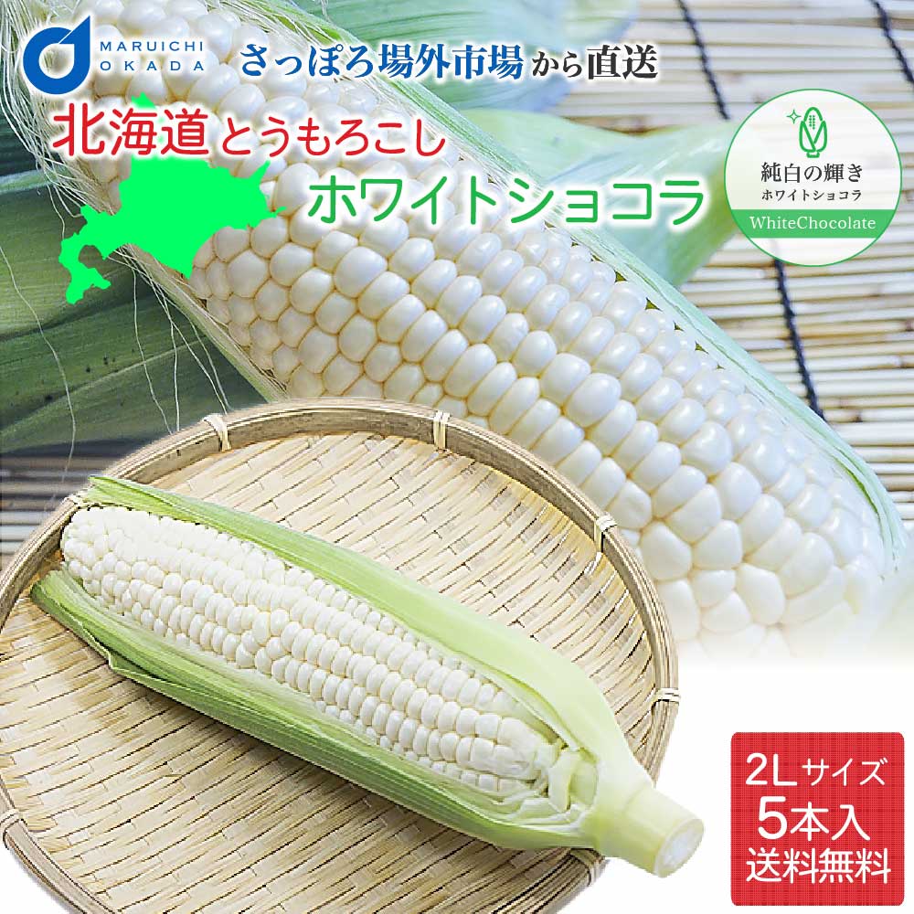 とうもろこし トウモロコシ 北海道 ホワイトショコラ 5本セット 送料無料 L～2L 北海道産 とうきび スイートコーン 父の日 プレゼント