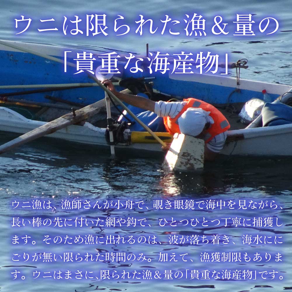 送料無料 北海道産 バフンウニ うに 100g 2個セット 冷蔵 バフン 生ウニ 雲丹 北海道 グルメ 塩水 塩水ウニ 寿司 贈り物 お中元 御中元