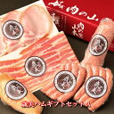 歳美ハムギフトセットB【肉の山本】