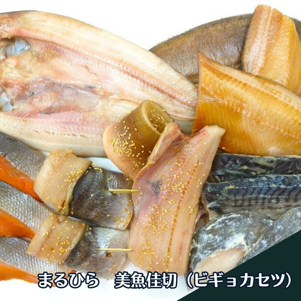 ★父の日おススメ★美魚佳切【まる