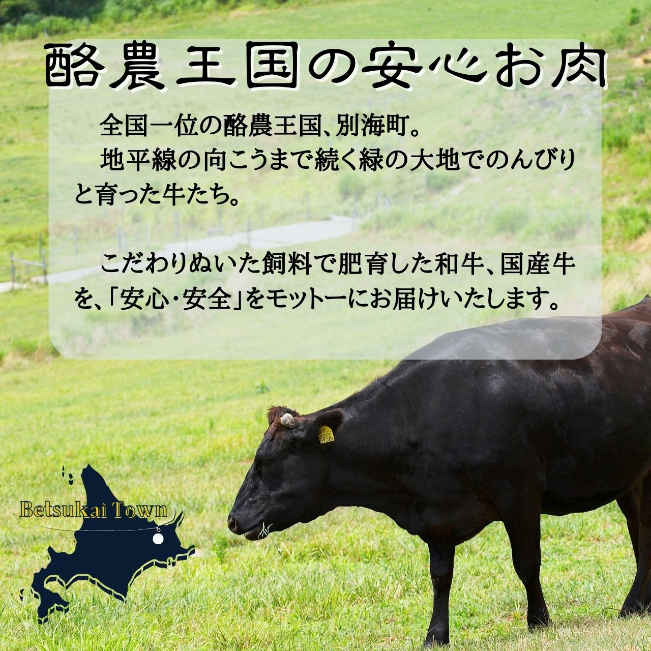 お取り寄せ～熟血腸 朝鮮族ソーセージ 腸詰 中華風ソーセージ 中華食材 冷蔵食品 冷凍と同梱不可 日本国内加工 300g ご注意：賞味期間10日間 [冷蔵食品]