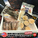 ☆クーポン☆☆2000円引き☆海鮮 BBQ バーベキュー 詰め合わせ 帆立 ほたて ホタテ イカ いか 一夜干し ししゃも 本シシャモ ホッケ 真ホッケ まとう鯛 マトウダイ 干物 丸干し ほたてステーキ 焼肉 セット 市場厳選 福袋 夏休み お中元 家庭用 3~4人前