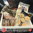 ☆9/15クーポン&ポイント2倍☆海鮮 BBQ バーベキュー 詰め合わせ 帆立 ほたて ホタテ イカ いか 一夜干し ししゃも 本シシャモ ホッケ 真ホッケ ま...