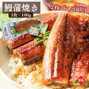 160g2枚が7200円で買えるクーポン☆うなぎ 蒲焼き 国産 鹿児島 薩摩川内鰻 160g 2尾〜5尾 まとめ買い 冷凍 送料無料 鰻 ウナギ 土用 土用の丑...