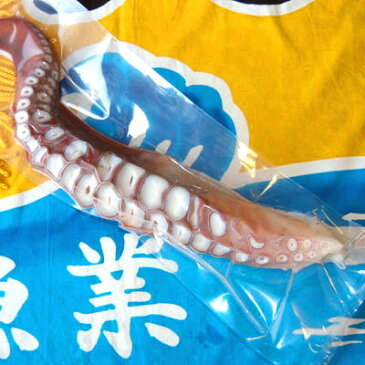 北海たこ足大サイズ1k/北海道鹿部産/タコあし/送料無料/函館冷凍