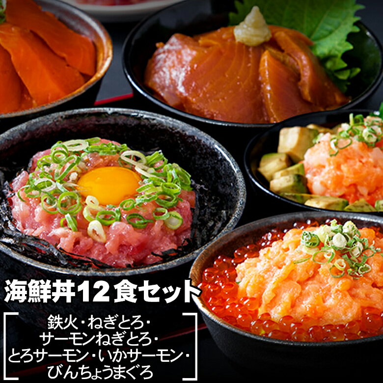 海鮮丼 12食セット（マグロ漬け2p・ネギトロ2P+サーモン