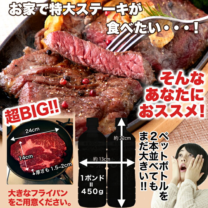 超ビッグ熟成牛!1ポンドステーキ!穀物肥育牛・肩ロースステーキ450g/送料無料/ロースステーキ/ステーキ/冷凍A