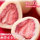 ґ܂邲   zCg`R `R `R 100g (8`12) lR|X