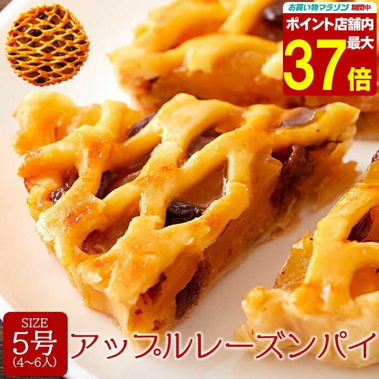 エントリーで店内全品P10倍★アップル レーズン パイ 5号♪しっとりパイ生地にりんごプレザーブとレーズンがたっぷり! ネコポス