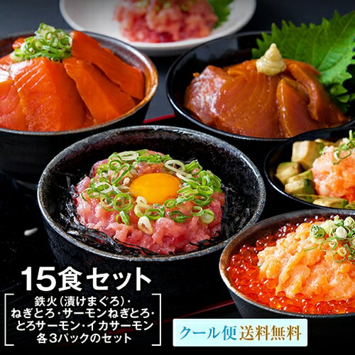 【P2倍6/1限定】【海鮮丼 15食 セット