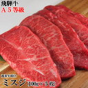 飛騨牛 A5等級 幻のミスジステーキ100g×5枚/ステーキ/A5ランク/送料無料/冷蔵