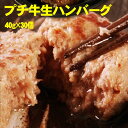 テレビで話題の牛肉100%手造りプチ牛生ハンバーグ 40g×30個入/ハンバーグ/牛肉/冷凍A/(4)