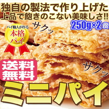 クーポン配布中！パイ専門店のサクサクパイ500g/シュガーミニパイ/パイ/送料無料/常温便