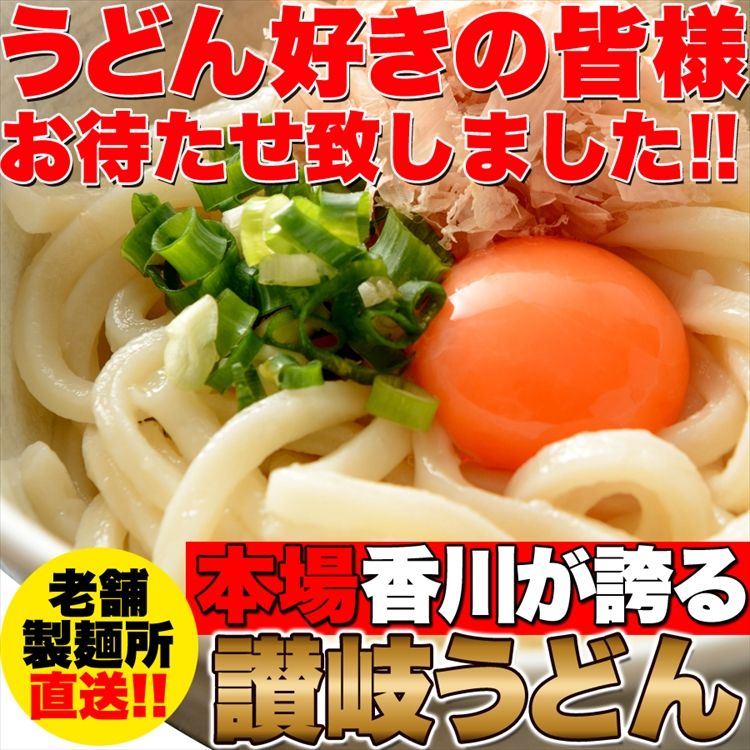 鎌田醤油特製ダシ醤油6袋付き!!讃岐うどん6食分600g（300g×2袋）/送料無料/代引き,同梱不可商品/メール便