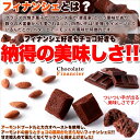 プチ チョコ フィナンシェ 50個 アーモンドとチョコの風味がたまらない!!送料無料/常温便 3