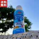 カラダ強くするのむヨーグルト 森永乳業 100g 12本 1ケース 飲むタイプ 飲む 送料無料 ラクトフェリン ビフィズス菌 ビフィズス菌BB536 シールド乳酸菌 機能性ヨーグルト 機能性 森永 免活 菌活 腸活 免疫力 感染防御 インフル ノロ 善玉菌 腸内フローラ ハニーアンビシャス