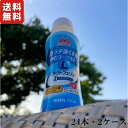 カラダ強くするのむヨーグルト 森永乳業 100g 24本 2ケース 飲むタイプ 飲む 送料無料 ラクトフェリン ビフィズス菌 ビフィズス菌BB536 シールド乳酸菌 機能性ヨーグルト 機能性 森永 免活 菌活 腸活 免疫力 感染防御 インフル ノロ 善玉菌 腸内フローラ ハニーアンビシャス