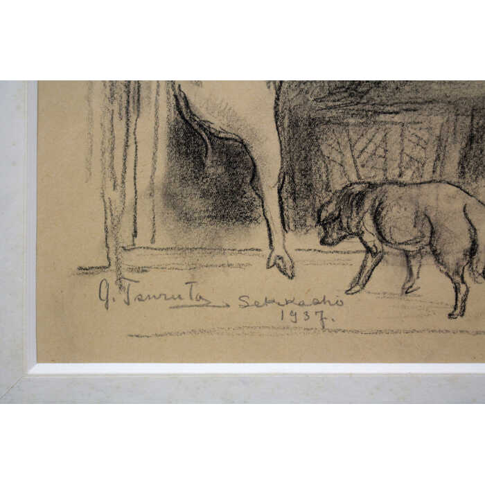 ���� ���ĸ�Ϻ �ǥå���� ��޶���ʡ� ��ʪ ưʪ �� ���� �������� ������ ������ �Ĥ뤿������