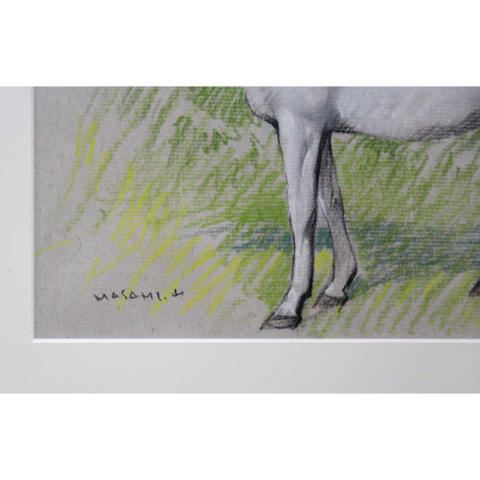 ���� ������̦ �ѥ��ƥ�� �����ϡ� ưʪ �� ͥ���� ���䤫 ������ ������ ��ޤ����ޤ���