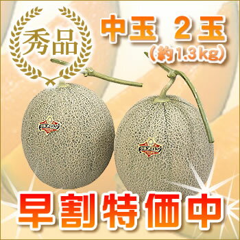 夕張メロン 夕張市農協共撰品 秀品中玉(約1.3kg) 2玉 【送料無料】【産地直送】【お中元】【お中元ギフト】【着日指定可】【のし対応】【代引不可】 北海道 お土産 おみやげ