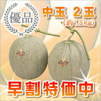 夕張メロン 夕張市農協共撰品 優品中玉(約1.3kg) 2玉 【送料無料】【産地直送】【お中元】【お中元ギフト】【着日指定可】【のし対応】【代引不可】 北海道 お土産 おみやげ