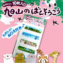 旭山のばんそうこう たのしいぬりえ付き♪ 北海道 お土産 おみやげ 絆創膏 バンドエイド 子供 かわいい 旭山動物園 擦り傷 切り傷 怪我 ケガ 応急 ファスト...