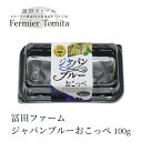 冨田ファーム ジャパンブルーおこっぺ 100g 北海道 お土産 ブルーチーズ 興部 おつまみ