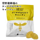 菅野養蜂場のタンポポはちみつキャンディー 80g 北海道 お土産 おみやげ 蜂蜜 たんぽぽ お菓子 スイーツ 喉あめ キャンディー