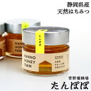 北海道オホーツク産 天然はちみつ たんぽぽ 150g 菅野養蜂場 北海道 お土産 おみやげ タンポポ ハチミツ 訓子府町 くんねっぷ ギフト プレゼント 贈答