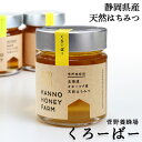 北海道オホーツク産 天然はちみつ くろーばー 250g 菅野養蜂場 北海道 お土産 おみやげ クローバー 三つ葉 ハチミツ 訓子府町 くんねっぷ ギフト プレゼ...