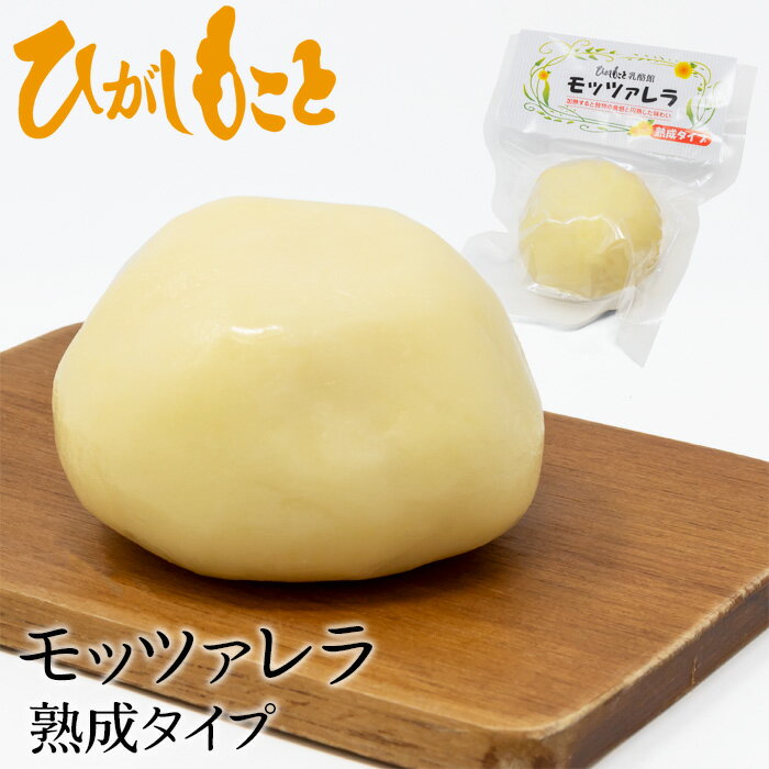 ひがしもこと モッツァレラ熟成タイプ 100g 北海道ひがしもこと乳酪館 ナチュラルチーズ 北海道 お土産 おみやげ ギフト 贈答 おつまみ ワインのサムネイル