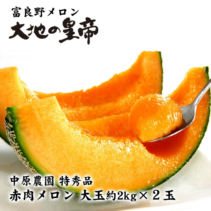 【送料無料】富良野メロン大地の皇帝 特秀品 大玉約2kg×2玉 北海道 お土産 おみやげ 化粧箱入り 贈答用 お中元