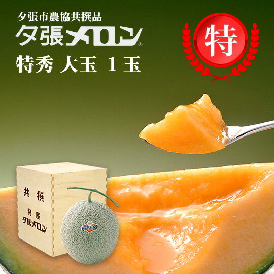 夕張市農協直送 共撰品 夕張メロン特秀大玉(約1.6kg) 木箱詰 1玉 【送料無料】【産地直送】【代引不可】北海道 お土産 おみやげ お中元 贈答品 引出物 赤肉メロン お供え物 お盆 名物