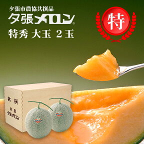 夕張市農協直送 共撰品 夕張メロン特秀大玉(約1.6kg) 木箱詰 2玉 【送料無料】【産地直送】【代引不可】北海道 お土産 おみやげ お中元 贈答品 引出物 赤肉メロン お供え物 お盆 名物