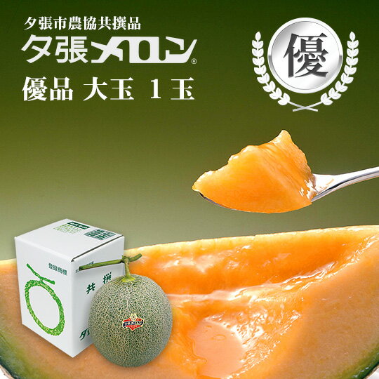 夕張市農協直送 共撰品 夕張メロン優品大玉(約1.6kg) 1玉【送料無料】【産地直送】【代引不可】 北海道 お土産 おみやげ お中元 贈答品 引出物 赤肉メロン お供え物 お盆 名物